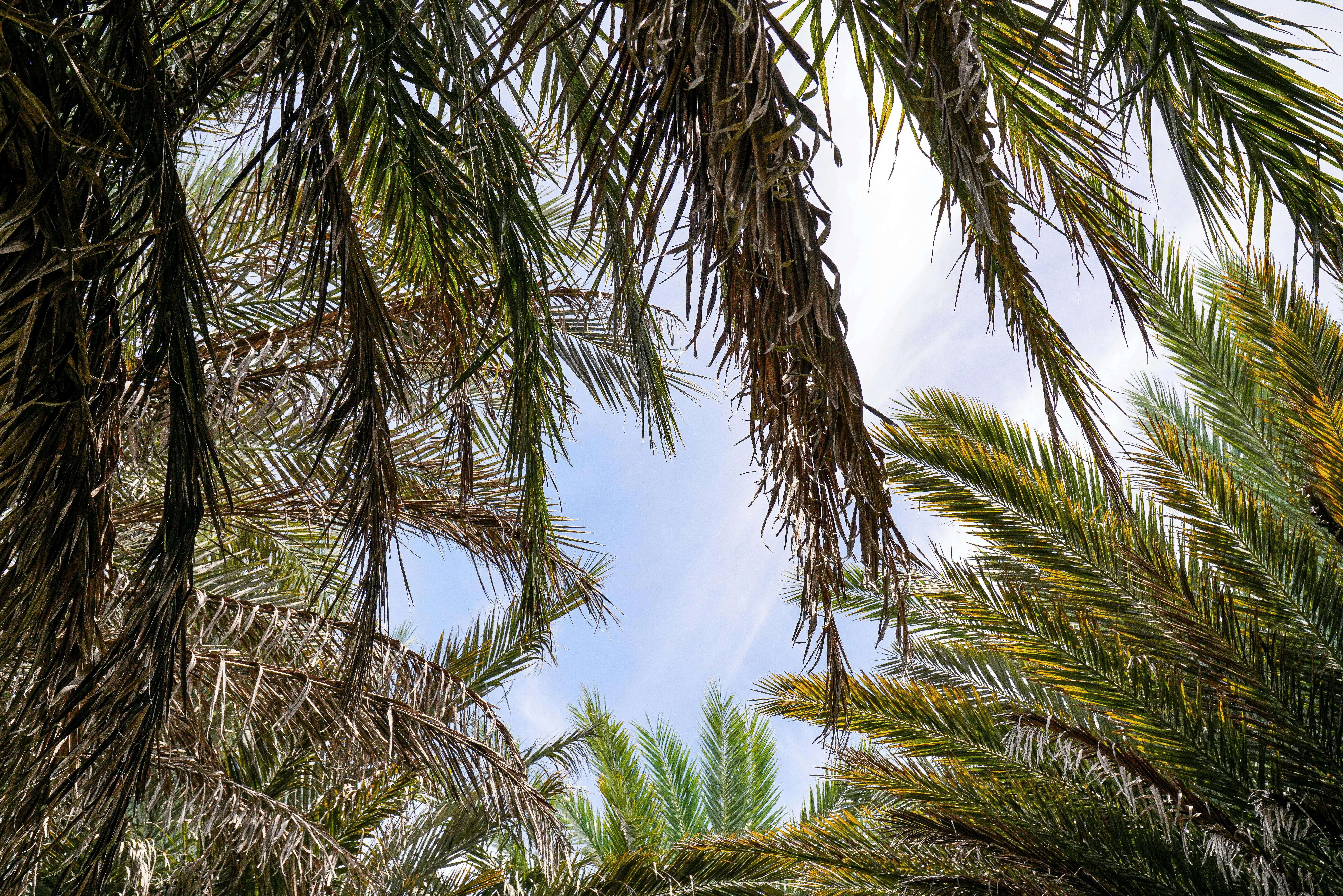 مؤسسة ريف الأهلية